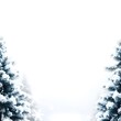 © tong4130 - Snowflakes and Pine Trees Winter Celebration Background