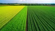 © SHUCKBLACK - Vibrant Agricultural Fields with Diverse Crops