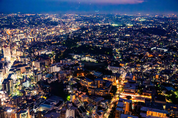 Wall Mural - Yokohama view from Landmark tower in Kanagawa, Yokohama, Japan