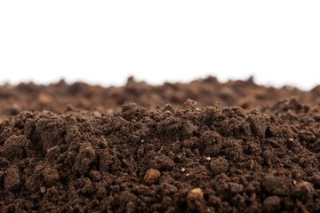 Soil for planting isolated on white background, extreme close-up