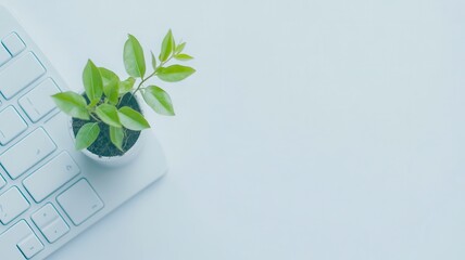 White keyboard with green plant growing from keys,representing Moral,Ethics in information technology,Green IT computing concept,Carbon efficient technology,Digital sustainability,global warming.