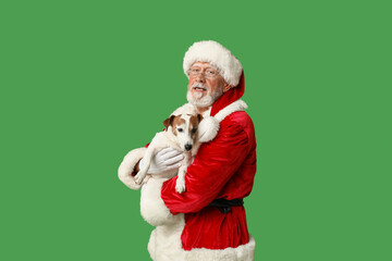 Canvas Print - Santa Claus with cute Jack Russell Terrier dog on green background