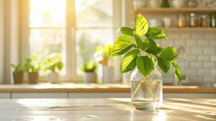 Sticker - A vibrant green plant in glass jar sits on kitchen table, illuminated by warm sunlight streaming through window. serene atmosphere enhances beauty of nature indoors