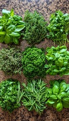 Wall Mural - Fresh herbs, including basil, thyme, parsley, and rosemary, arranged in a grid on a brown background.