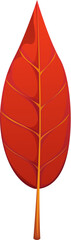 Poster - Cartoon red autumn leaf, capturing the vibrant colors of fall. Isolated vector bright leaf conveys a warm and cozy feeling, symbolizing the change of seasons. Colorful natural fallen tree foliage