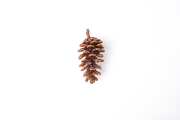 Close-up photo of Dried pine cone isolated on white background. Empty blank copy text space. Concept for christmas decoration ornament.