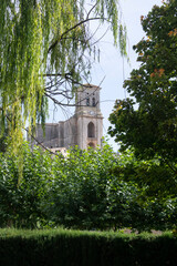 Paisaje otoñal con arboles y hierva y vista de la Iglesia de Pampliega, Burgos (España) vista entre árboles