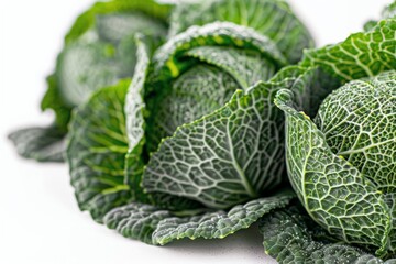 Wall Mural - Freshly harvested green cabbage with dew drops on leaves, displayed on a light background