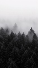 A black forest landscape enveloped in mist, creating an atmospheric and moody scene, ideal for posters and mobile wallpapers