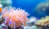 sea anemone with a close-up,Generative AI