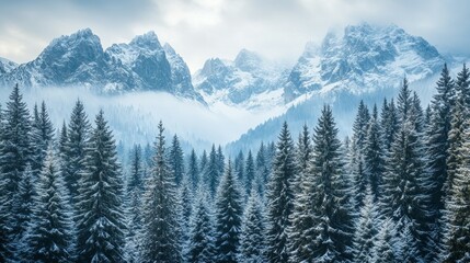 Sticker - Silent Peaks, Snow covered mountains