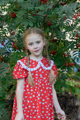 Portrait of a girl in nature. A girl in a red dress next to a rowan bush. The girl has blonde hair in pigtails. Image with selective focus.