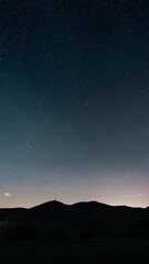 Wall Mural - vertical starry night sky with stars and northern light of aurora borealis in central europe time la