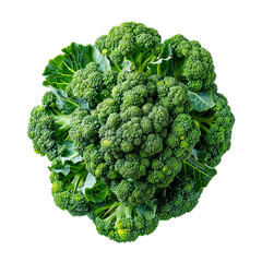 Poster - Fresh green broccoli florets are forming a healthy raw vegetable with vitamins on white background
