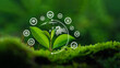 © Wachirapong - ESG icon Environmental, social and governance concept Net zero greenhouse gas emissions on growing seedlings for greenhouse gas emission target Sustainable global environment concept