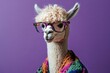 © grigoryepremyan - An alpaca dressed in colorful and wearing glasses, studio shot.