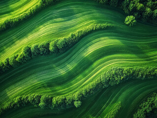 Lush green hills with trees creating a harmonious landscape at dawn