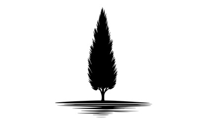 Cypress tree with a conical shape and scale-like leaves growing near a water source, vector illustration art