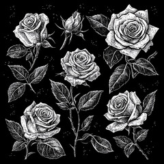 Intricate Rose and Leaf Tattoo Set: Timeless Floral Elegance in Detailed Black and White Sketch