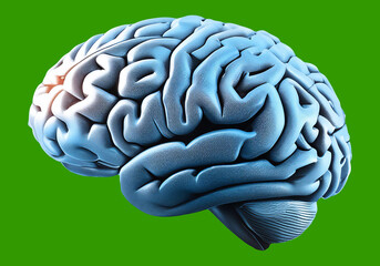 Poster - Human Brain Model On A Circuit Board