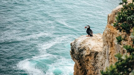 Sticker - A puffin perched on a cliff overlooking the ocean waves.