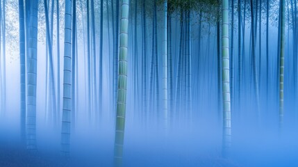 Wall Mural - A serene bamboo forest shrouded in mist, evoking tranquility and natural beauty.