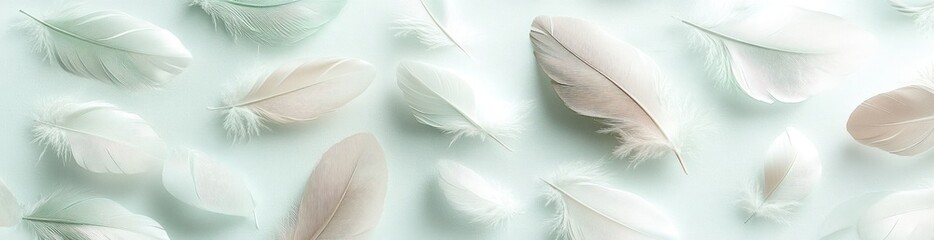 Sticker - A serene arrangement of soft, delicate feathers on a light background.