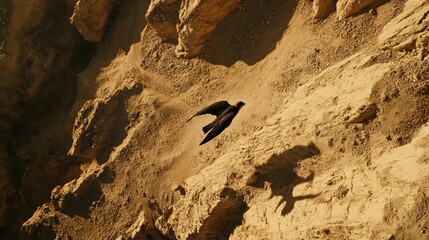 Sticker - A bird soaring over rocky terrain, casting a shadow on the ground below.