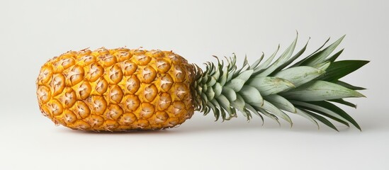 Wall Mural - Whole ripe pineapple with green leaves on a white background.