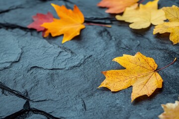 Wall Mural - colourful autumn leaves on the dark stone background as autumn concept - generative ai