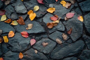 Wall Mural - colourful autumn leaves on the dark stone background as autumn concept - generative ai