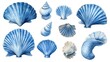 © Erna yuliyanti - Blue Seashells Watercolor Illustration