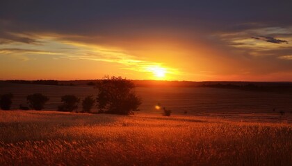 Aufkleber - Golden Sunset Over Wheat Field with Silhouetted Trees and Vibrant Sky. Tranquil Rural Landscape at Dusk, Capturing the Warm Glow of Evening Light Across a Serene Countryside Horizon