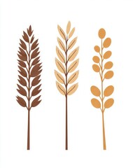 Wheat for healthy foods illustration