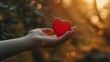 © Pixcellence - Hand Holding a Red Heart at Sunset - Love and Hope