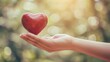 © Pixcellence - Red Heart Held in Hand: A Symbol of Love and Care