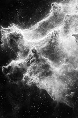 Wall Mural - Star filled black and white night sky