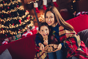 Canvas Print - Photo of two peaceful people mother daughter covered blanket eat cookies new year xmas garland lights apartment indoors