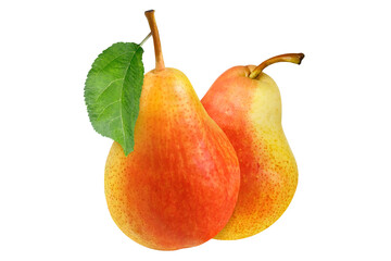 Two whole pears with a leaf on an isolated white background.