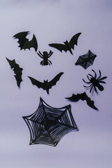 Wall Mural - Spider web with a bunch of bats and spiders on it