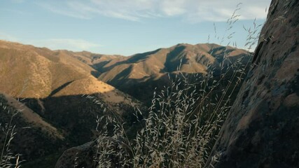 Wall Mural - Beautiful footage of dry mountains with plants on a sunny day