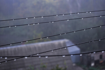 barbed wire fence