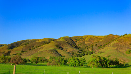 Sunny view of the rural landscape around Los Banos