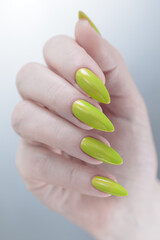 Wall Mural - Female hand with long nails and yellow green manicure