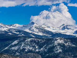 Sunny view of the landscape at Yosemite National Park