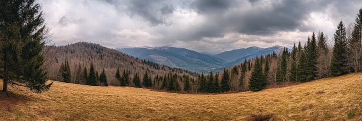 Hill Side Meadow Panorama: Spruce Forest in High Mountains on a Cloudy Springtime Day