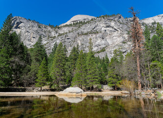 Sunny view of the river landscape in Yosemite National Park