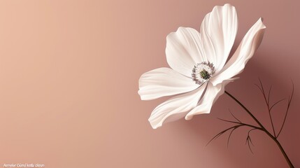 Elegant vector design with a single flower, in minimalistic style