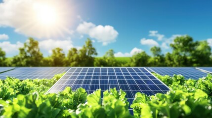 Solar panels shining under bright sunlight amidst lush green crops, representing sustainable energy and agriculture.