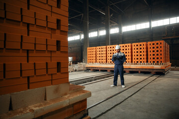 Wall Mural - Production line of ceramics factory. Man worker holding clipboard and checking quality of bricks